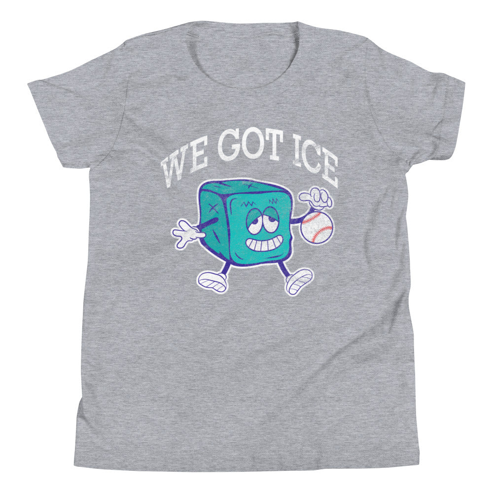 Gray youth T-shirt featuring a cartoon ice cube mascot holding a baseball, with the text "WE GOT ICE" above it.