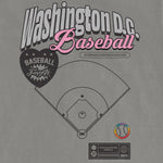 DC BASEBALL PRIDE | Comfort Colors Vintage Tee