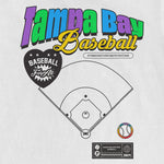 TAMPA BAY BASEBALL PRIDE | Comfort Colors Vintage Tee