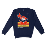 Navy blue crewneck sweatshirt featuring a Houston Astros 2024 postseason baseball graphic with stars, stripes, and team logo.