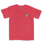 THE SNAKE HIVE | COMFORT COLORS® VINTAGE TEE