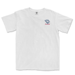 WSH America's Pastime