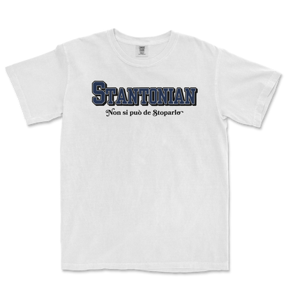 STANTONIAN HOME RUN | Comfort Colors Tee